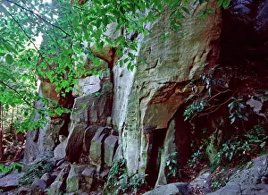 Outcropping: Limestone
