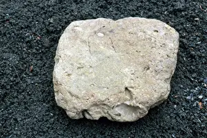 Mold: Limestone
