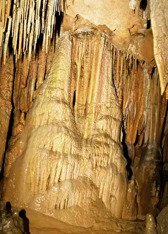 Stalactite: Limestone Cascade Formation in Florida Caverns State Park