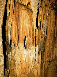 Stalactite: Limestone Cascade Formation in Florida Caverns State Park
