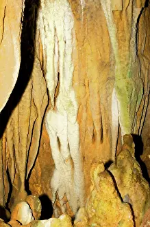 Stalactite: Limestone Cascades in Florida Caverns State Park