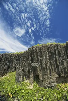 Situ: Limestone Cliff, Australia