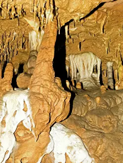 Stalactite: Limestone Column in Florida Caverns State Park