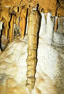 Stalactite: Limestone Column in Florida Caverns State Park