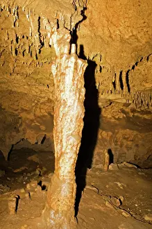 Stalactite: Limestone Column in Florida Caverns State Park