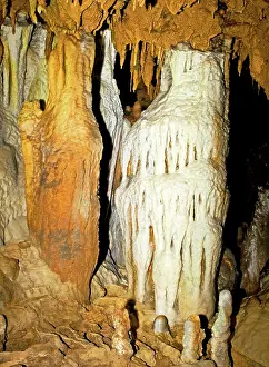 Stalactite: Limestone Column Formations in Florida Caverns State Park
