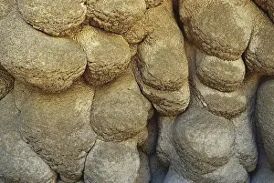 Collapsed: Limestone Formation