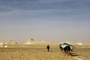 Pieces: Limestone formation in the white desert Egypt
