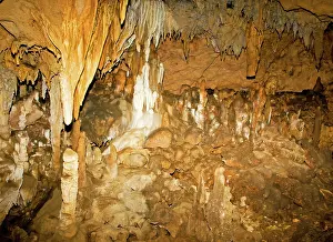 Stalactite: Limestone Formations in Florida Caverns State Park