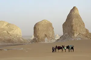 Monuments: Limestone formations White Desert Eastern Sahara Egypt