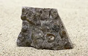 Seashells: Limestone With Fossils