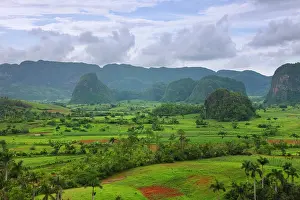 Keren: Limestone hill and farming land in Vinales