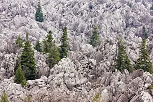 Remnants: Limestone Karst landscape, with remnants of coniferous