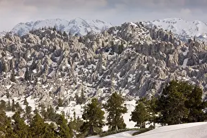 Remnants: Limestone Karst landscape, with remnants of coniferous