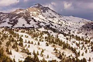 Remnants: Limestone Karst landscape, with remnants of coniferous