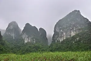 Outcrops: Limestone Karst Mountains - habitat of White-headed