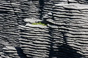 Outcrops: Limestone outcrops on cliffs