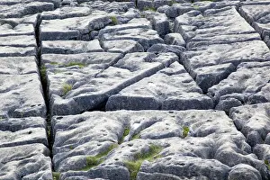 Squares: Limestone Pavement