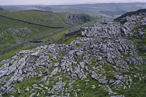 Carbonate: Limestone Pavement in England