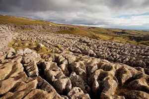 Malham: Limestone pavement above Malham Cove