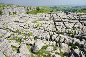 Malham: Limestone pavement above Malham Cove