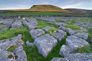 Filled: Limestone pavement in front of Pan-Y-Ghent, Settle