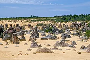 Pillars: Limestone pillars in the Pinnacle Desert