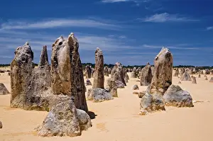 Pillars: Limestone pillars in the Pinnacle Desert
