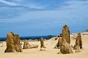 Pillars: Limestone pillars in the Pinnacle Desert