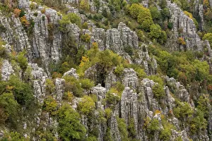 Pinnacle: Limestone pinnacles and autumn colour in the wild
