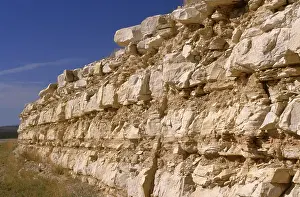 Limestones: Limestone and Siltstone
