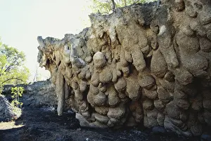 Collapsed: Limestone Sinkhole