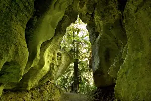 Tunnels: Limestone Tunnel - a narrow path leads through