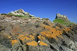 Lindisfarne: Lindisfarne, Holy Island - view of moon, castle
