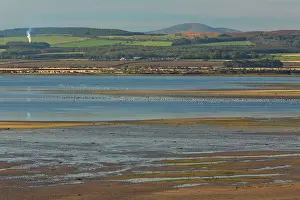 Lindisfarne: Lindisfarne National Nature Reserve - view from