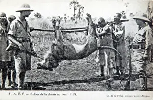 Hunters: Lion hunting in Central African Republic, old postcard c1910