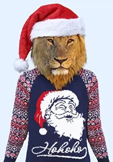 051119: Lion, male wearing Christmas jumper and Christmas hat