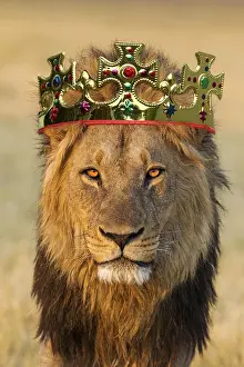 Beasts: Lion, male wearing crown