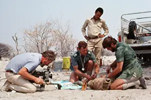 Cameraman: LION study - Des Bartlett filming Dr Hu Berry and