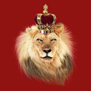 Royalty: Lion wearing a crown