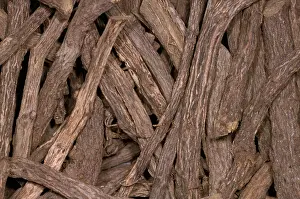 Glabra: Liquorice Sticks - roots
