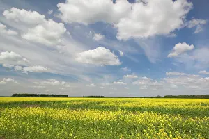Lithuania: Lithuania, Central Lithuania, Joniskis