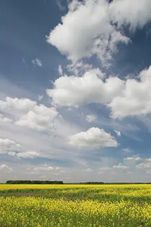 Lithuania: Lithuania, Central Lithuania, Joniskis
