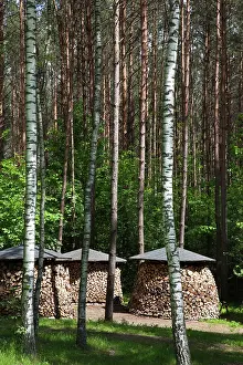 Lithuania: Lithuania, Vilnius-area, Europos Parkas