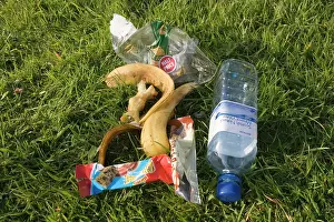 Packaging: Litter - discarded picnic rubbish and plastic packaging