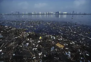 Littered: Littered River, Long Beach, California