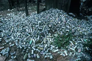 Dump: Littering