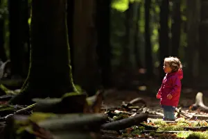 Unidentified: Little girl looking at big unidentified tree in forest