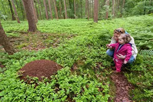 Garderen: Little girl and mother looking at anthill