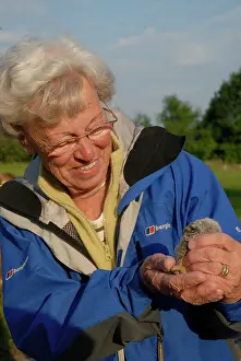 Older: Little Owl